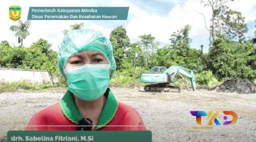 Dinas Peternakan Riau Ambil Langkah Sigap Atasi Wabah Babi African Swine Fever - 16 Februari 2025